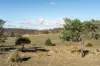 "Goat Gully/Old Hut Hill" Lemont Road, Lemont, Tas 7120-Image