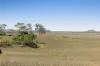 "Gothaire" 379 4ak Road, Oakey QLD 4401-Image