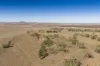 "Gothaire" 379 4ak Road, Oakey QLD 4401-Image