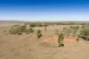 "Gothaire" 379 4ak Road, Oakey QLD 4401-Image