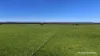 "Gracefield Park", 754 Beermullah Road West, Beermullah, WA 6503-Image
