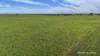 "Gracefield Park", 754 Beermullah Road West, Beermullah, WA 6503-Image