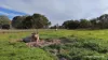 "Gracefield Park", 754 Beermullah Road West, Beermullah, WA 6503-Image