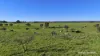 "Gracefield Park", 754 Beermullah Road West, Beermullah, WA 6503-Image