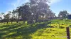 "Gracefield Park", 754 Beermullah Road West, Beermullah, WA 6503-Image