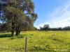 "Gracefield Park", 754 Beermullah Road West, Beermullah, WA 6503-Image