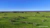 "Gracefield Park", 754 Beermullah Road West, Beermullah, WA 6503-Image