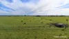 "Gracefield Park", 754 Beermullah Road West, Beermullah, WA 6503-Image