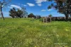 "Gracefield Park", 754 Beermullah Road West, Beermullah, WA 6503-Image