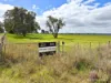 "Gracefield Park", 754 Beermullah Road West, Beermullah, WA 6503-Image