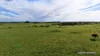 "Gracefield Park", 754 Beermullah Road West, Beermullah, WA 6503-Image