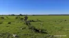 "Gracefield Park", 754 Beermullah Road West, Beermullah, WA 6503-Image