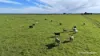 "Gracefield Park", 754 Beermullah Road West, Beermullah, WA 6503-Image