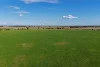 "Greendale" 536 Wyrra Lane, West Wyalong, NSW 2671-Image