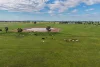 "Greendale" 536 Wyrra Lane, West Wyalong, NSW 2671-Image