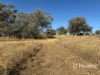 Gwydir Highway, Inverell, NSW 2360-Image