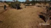 Gwydir Highway, Inverell, NSW 2360-Image