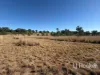 Gwydir Highway, Inverell, NSW 2360-Image