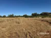 Gwydir Highway, Inverell, NSW 2360-Image