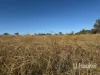 Gwydir Highway, Inverell, NSW 2360-Image
