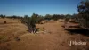 Gwydir Highway, Inverell, NSW 2360-Image