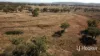 Gwydir Highway, Inverell, NSW 2360-Image