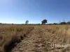 Gwydir Highway, Inverell, NSW 2360-Image
