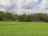 "Hadley" 83 Dooloo Tops Road, Monal QLD 4630-Image