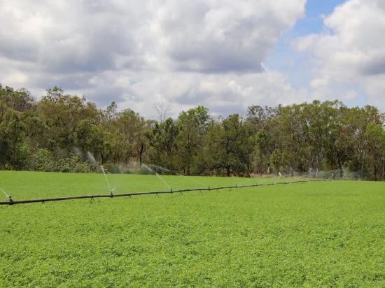 "Hadley" 83 Dooloo Tops Road, Monal QLD 4630-Image