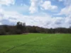 "Hadley" 83 Dooloo Tops Road, Monal QLD 4630-Image