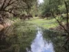 "Hadley" 83 Dooloo Tops Road, Monal QLD 4630-Image