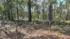 Harveys Road, Woodside North, Vic 3874-Image