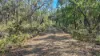 Harveys Road, Woodside North, Vic 3874-Image