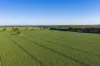 Henty-Walla Road, Culcairn, NSW 2660