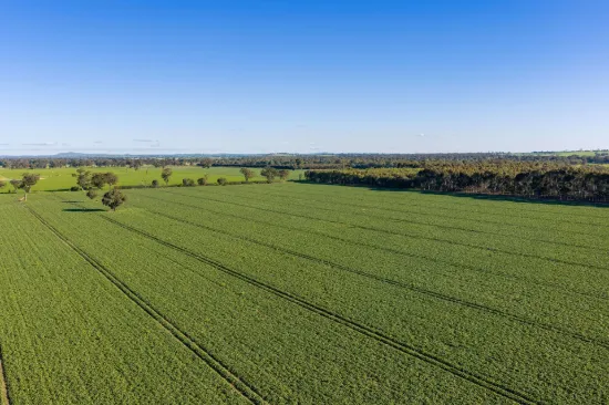 Henty-Walla Road, Culcairn, NSW 2660