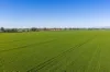 Henty-Walla Road, Culcairn, NSW 2660-Image