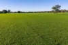 Henty-Walla Road, Culcairn, NSW 2660-Image