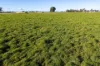 Henty-Walla Road, Culcairn, NSW 2660-Image