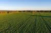 Henty-Walla Road, Culcairn, NSW 2660-Image