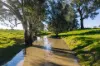 Henty-Walla Road, Culcairn, NSW 2660-Image