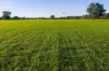 Henty-Walla Road, Culcairn, NSW 2660-Image