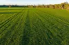 Henty-Walla Road, Culcairn, NSW 2660-Image