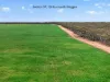 Heritage Hill Eustice Road, Maggea, SA 5311-Image