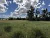 "Hyblah" 4615 Gladstone Monto Road, Boyne Valley, Qld 4680-Image