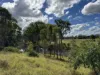 "Hyblah" 4615 Gladstone Monto Road, Boyne Valley, Qld 4680-Image