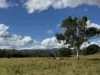 "Hyblah" 4615 Gladstone Monto Road, Boyne Valley, Qld 4680-Image