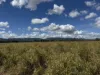 "Hyblah" 4615 Gladstone Monto Road, Boyne Valley, Qld 4680-Image