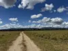 "Hyblah" 4615 Gladstone Monto Road, Boyne Valley, Qld 4680-Image