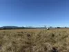 "Hyblah" 4615 Gladstone Monto Road, Boyne Valley, Qld 4680-Image