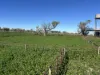 Inverella, Carinya & Mindaribba, Brewarrina, NSW 2839-Image